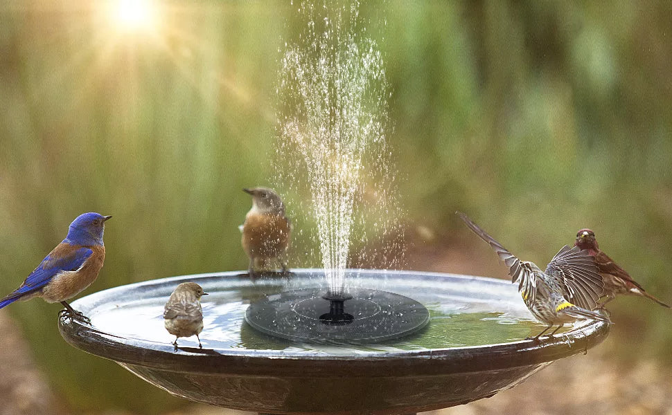 Sunflow™ Solar-Powered Water Fountain